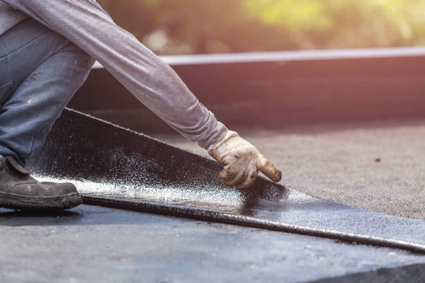 Professional Waterproofing technician working in Logan, AL